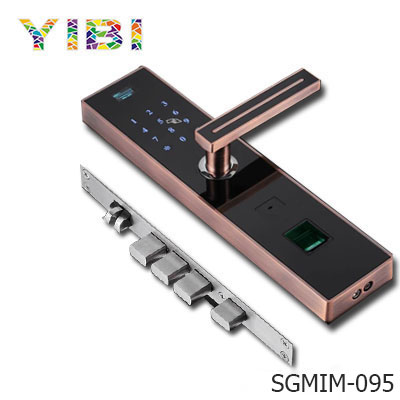 Shenzhen yibi MIM fingerprint password electronic intelligent special double speed double living standard mechanical lock body.